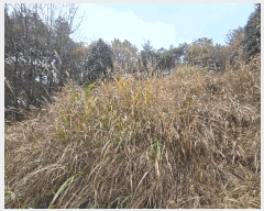  2025Ÿ��51995 ���� ������ ������ ������ 402      ����(��1)���