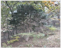  2025Ÿ��51995 ���� ������ ������ ������ 402      ����(��1)���