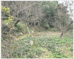  2025Ÿ��51995 ���� ������ ������ ������ 402      ����(��1)���