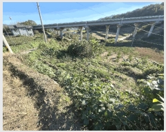  2025Ÿ��51995 ���� ������ ������ ������ 402      ����(��1)���