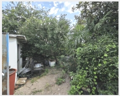  2025Ÿ��52001 ���� ������ ���̸� ��ȭ�� 630-14      ���ð��
