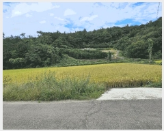  2025Ÿ��52019 ���� ���ﱺ �ο��� ��縮 910-9      ����(��)���