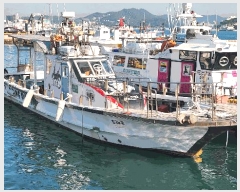  2025Ÿ��52085 ���� ������ ���浿 ������ ������      ���ڰ��