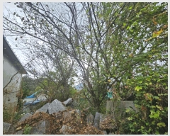  2025Ÿ��52091 ���� ��õ�� ������ ��긮 831      ����(����)���