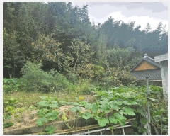  2025Ÿ��52091 ���� ��õ�� ������ ��긮 831      ����(����)���