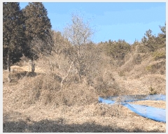  2025Ÿ287    ͻ긮 112      (Ӿ)