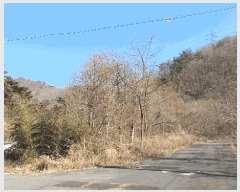  2025Ÿ287    ͻ긮 112      (Ӿ)