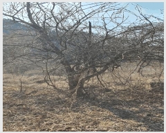  2025Ÿ287    ͻ긮 112      (Ӿ)