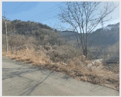  2025Ÿ287    ͻ긮 112      (Ӿ)