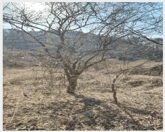  2025Ÿ287    ͻ긮 112      (Ӿ)