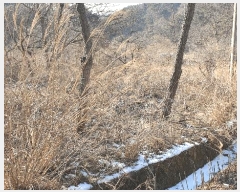  2025Ÿ287    ͻ긮 112      (Ӿ)