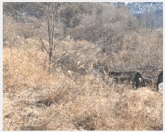  2025Ÿ287    ͻ긮 112      (Ӿ)