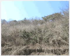  2025Ÿ350  õ ŵ 266-1       (Ӿ)