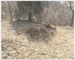  2025Ÿ350  õ ŵ 266-1       (Ӿ)