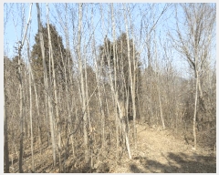  2025Ÿ350  õ ŵ 266-1       (Ӿ)