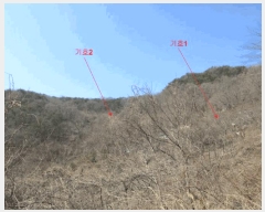  2025Ÿ350  õ ŵ 266-1       (Ӿ)