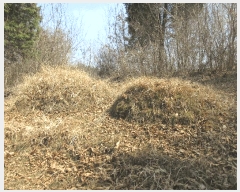  2025Ÿ350  õ ŵ 266-1       (Ӿ)