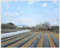  2025Ÿ362   Ȳ浿 624-3       ()