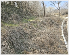  2025Ÿ362   Ȳ浿 624-3       ()