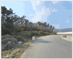  2025Ÿ362   Ȳ浿 624-3       ()