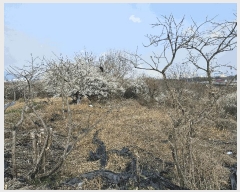  2025Ÿ362   Ȳ浿 624-3       ()