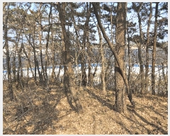  2025Ÿ362   Ȳ浿 624-3       ()