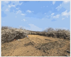  2025Ÿ362   Ȳ浿 624-3       ()