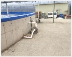  2025Ÿ428  ﱺ  ߸ 3261-27      