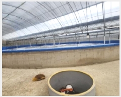  2025Ÿ428  ﱺ  ߸ 3261-27      