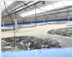  2025Ÿ428  ﱺ  ߸ 3261-27      