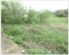  2025Ÿ440   ̸ ȭ 95      ()