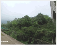  2025Ÿ447    ʳ 117-1      (Ӿ)