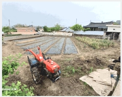  2025Ÿ447    ʳ 117-1      (Ӿ)