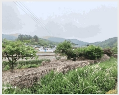  2025Ÿ447    ʳ 117-1      (Ӿ)