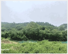  2025Ÿ447    ʳ 117-1      (Ӿ)