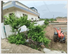  2025Ÿ447    ʳ 117-1      (Ӿ)