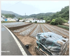  2025Ÿ447    ʳ 117-1      (Ӿ)