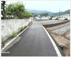  2025Ÿ447    ʳ 117-1      (Ӿ)