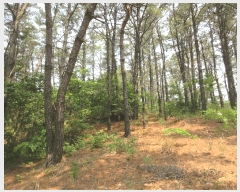  2025Ÿ458   Ȳݵ 199-2       (Ӿ)