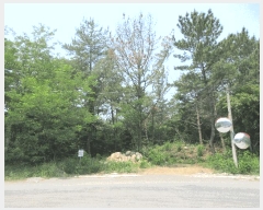  2025Ÿ458   Ȳݵ 199-2       (Ӿ)