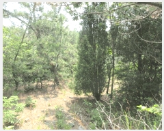  2025Ÿ458   Ȳݵ 199-2       (Ӿ)