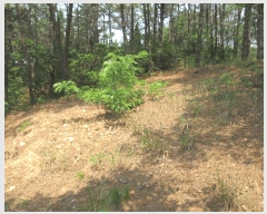  2025Ÿ458   Ȳݵ 199-2       (Ӿ)