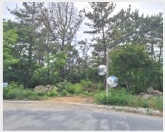  2025Ÿ458   Ȳݵ 199-2       (Ӿ)