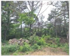  2025Ÿ458   Ȳݵ 199-2       (Ӿ)