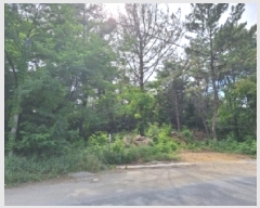  2025Ÿ458   Ȳݵ 199-2       (Ӿ)