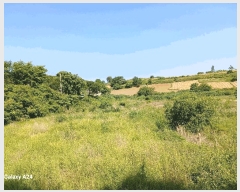  2025Ÿ476  ﱺ   394      ()