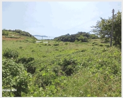  2025Ÿ476  ﱺ   394      ()