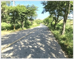  2025Ÿ476  ﱺ   394      ()