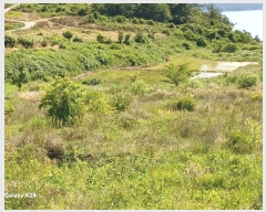  2025Ÿ476  ﱺ   394      ()