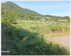  2025Ÿ476  ﱺ   394      ()